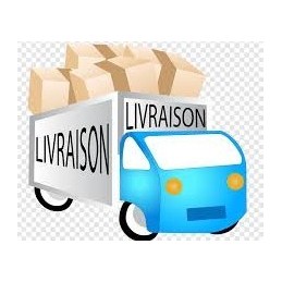 TRANSPORT
